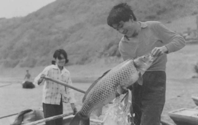 孕中期梦见花生是什么意思（婆婆做梦梦见花生是什么意思）