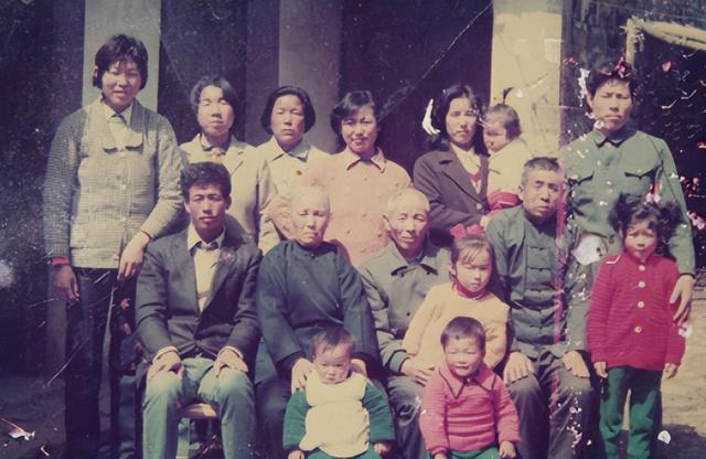 孕中期梦见花生是什么意思（婆婆做梦梦见花生是什么意思）