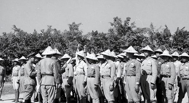 孕中期梦见花生是什么意思（婆婆做梦梦见花生是什么意思）