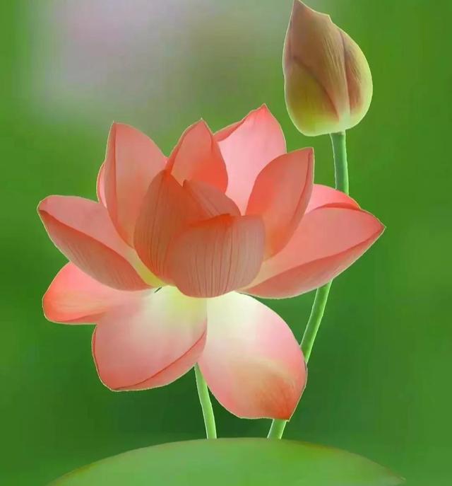 二字特别寓意吉祥词语祝福儿童二字特别寓意吉祥词语祝福儿童成长!