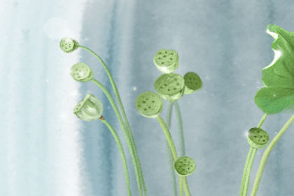 干净诗意名字大全 男生微信名称推荐