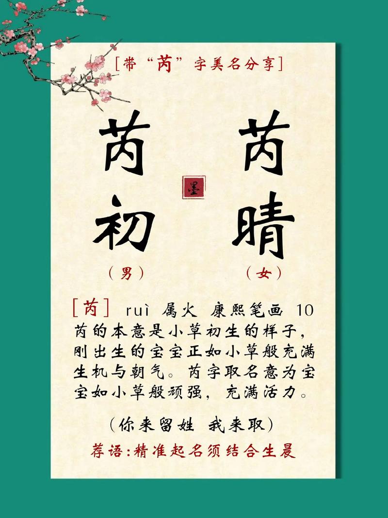 芮起名字男宝宝 吕昕芮名字咋样