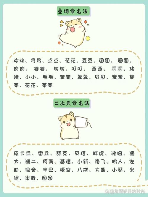 鼠宝宝该怎么取名好听 鼠宝宝适合起的名字