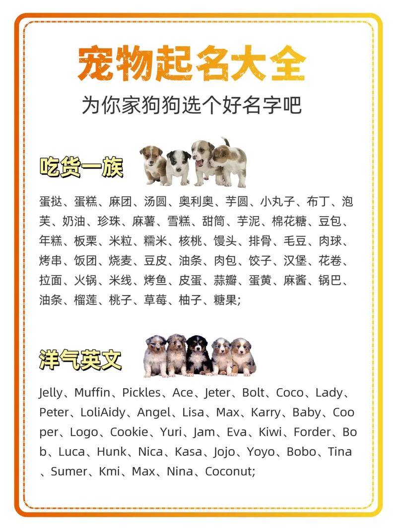 狗宝宝取名舒 男孩取名舒钲