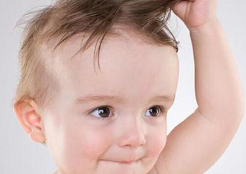 蛇年刘姓男宝宝吉祥的名字大全