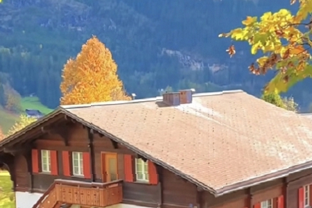 2025年属蛇女孩吉利的名字