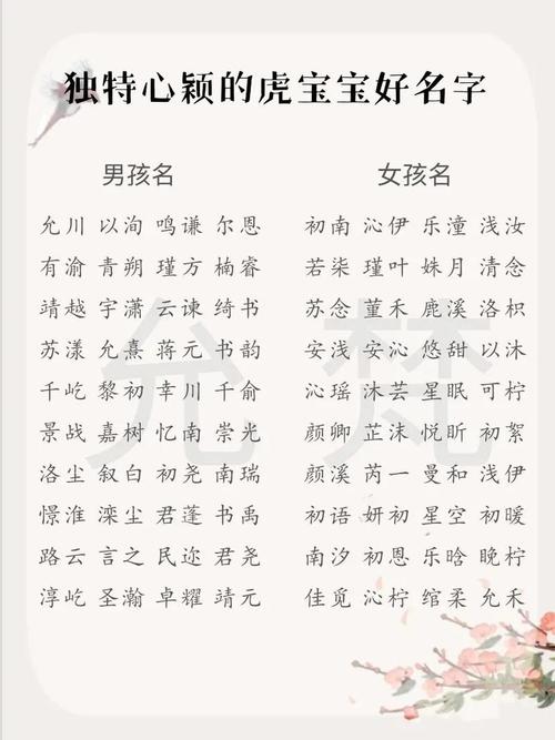 虎宝宝取名带好字的名字 虎宝宝取名适宜字