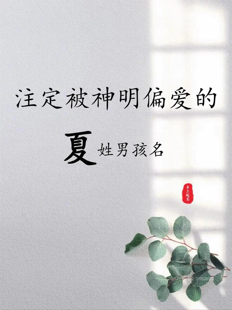 兔宝宝取名男孩姓夏好吗 属兔的男孩最佳名字