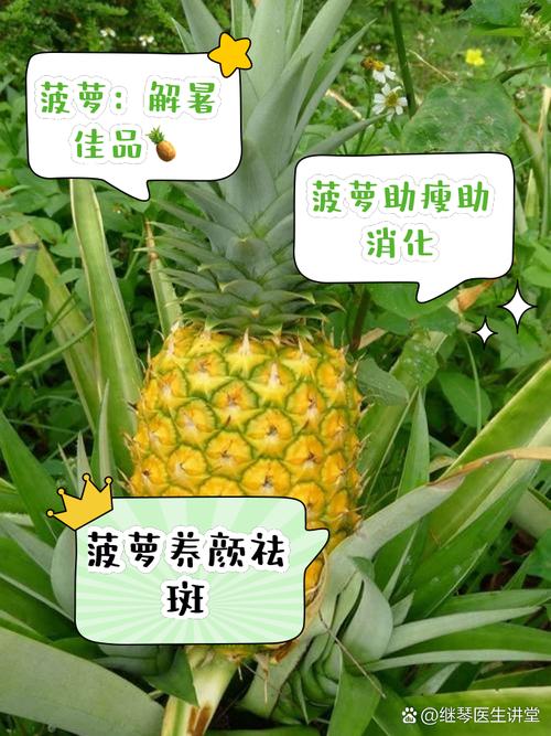 给宝宝取名叫菠萝好吗 宝宝取名大全免费