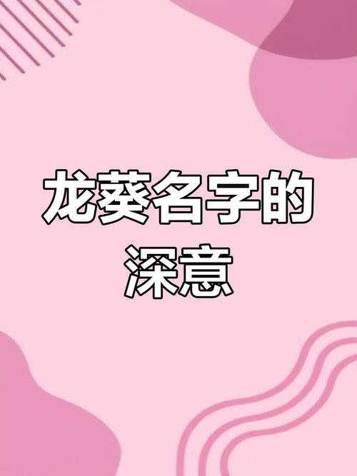 宝宝取名龙葵寓意好吗女孩 龙葵起名