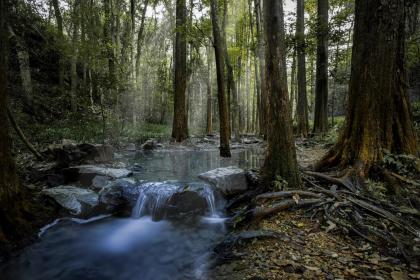 021年霜降节气出生男宝宝五行缺土好听响亮的名字"