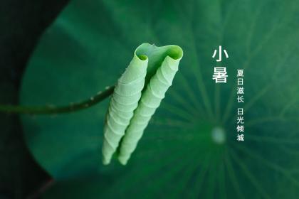 021年小暑出生的男孩缺金起名字，男孩缺金取什么名字好"