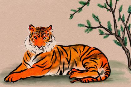 022年2月20日出生的男孩缺什么？怎么起好名字？"