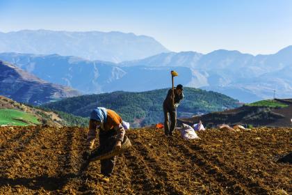 021年腊月十七出生五行缺火的女宝宝干净美好的名字精选"