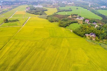 019年腊月二十七出生女孩五行缺木起名大全"