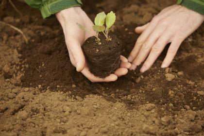 019年9月17号出生的男宝宝五行缺水取名怎么样好"