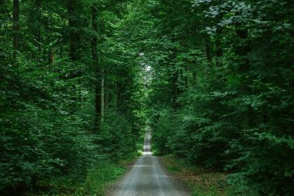 019年腊月二十七女孩五行缺金如何起名？用什么字？"