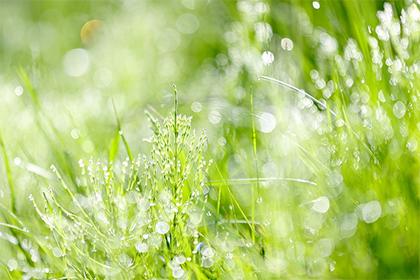 019年七夕节出生宝宝五行缺什么,如何起个好名字？"