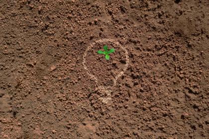 019年8月11号未时出生的男孩五行属什么"