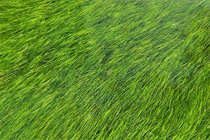 019年腊月二十七女孩五行缺金如何起名？用什么字？"