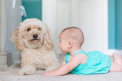 虎年8月出生宝宝取名，2022年好听的孩子名字