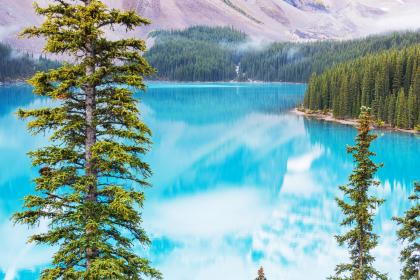 019年6月12号出生的女宝宝五行缺木要怎么起名字"