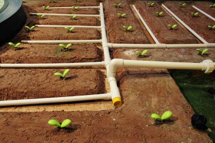 019年7月8号出生的男宝宝五行缺木要如何起名字"