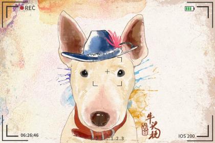 晚上八点出生的属狗男孩如何取名，宜用什么字