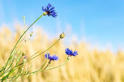 019年十月二十二出生的双胞胎女孩起名推荐，五行属什么"