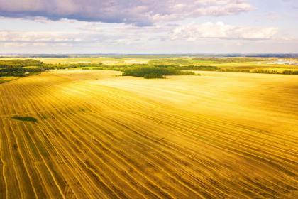 019年8月24丑时出生的女孩如何起名字，五行属什么"