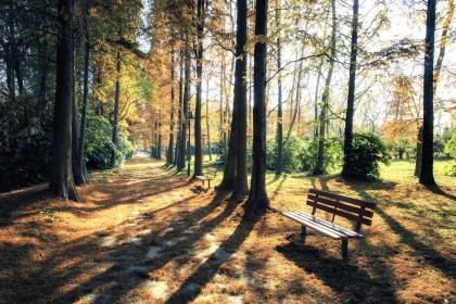 19年7月1号午时出生的女孩的宝宝如何起名，五行是什么？"