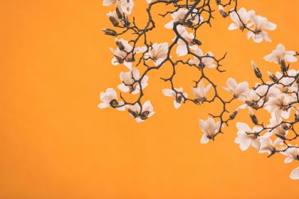 019年4月12号中午出生的男孩命理，宜取哪些名字？"