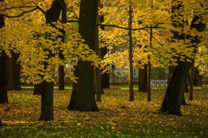 019年11月19号出生的男宝宝五行缺水该如何取名"