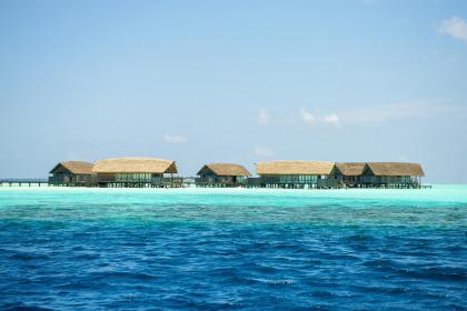 019年夏天出生五行缺水的女孩取名推荐"