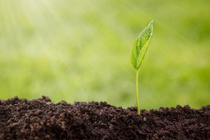 019年3月6号出生的双胞胎女孩如何起名，五行属什么"
