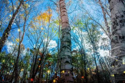 019年5月19号出生的女宝宝五行缺土要怎么起名字"
