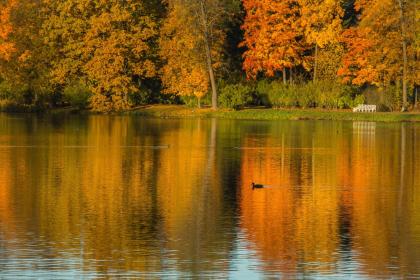 019年10月20号出生的男宝宝五行缺水怎么样取名好"