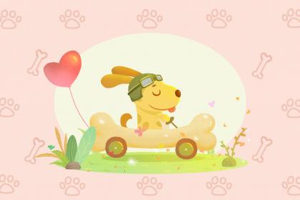 属狗宝宝2018年12月7日出生怎么起名字？有何起名方法？