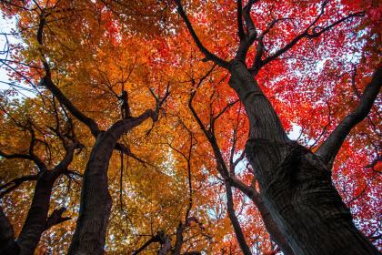 019年9月8号巳时出生的男孩如何起取个理想的名字，五行属什么"