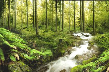 019猪年秋分出生女孩五行缺金要怎么起名字"