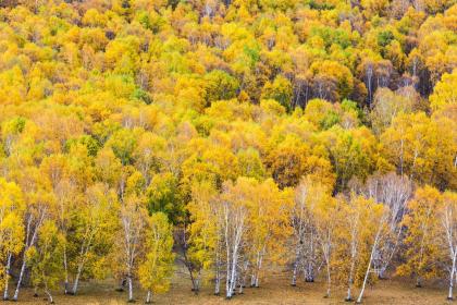 019年5月18号出生的女宝宝五行缺火如何起名"