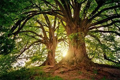 019猪年处暑生的女孩五行缺土要怎么起名字"