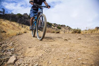 019年农历十月十五下元节男孩五行缺木起名宝典"