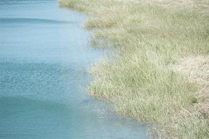 019年7月26号卯时出生的女孩该怎么起名，她的五行八字是什么？"