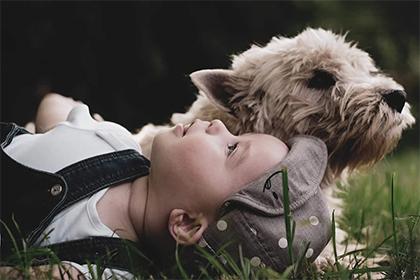 月7号晚上11点出生的男宝宝可以用来取名的好字"