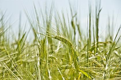 019年7月29号辛时出生的女孩怎么起名，五行是什么？"