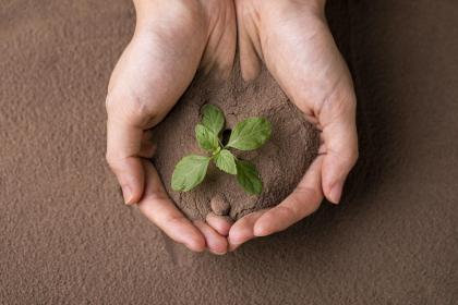 019年11月19号出生的男宝宝五行缺水该如何取名"