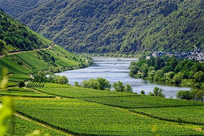 019年农历七月五行属性,名字推荐"