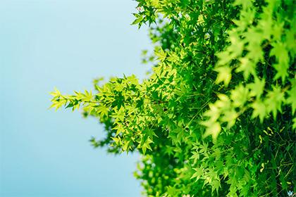 019年11月5号出生的男宝宝五行缺土要怎么取名"