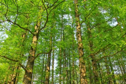 019年8月15号丑时出生的男孩怎么起名字，五行属什么"